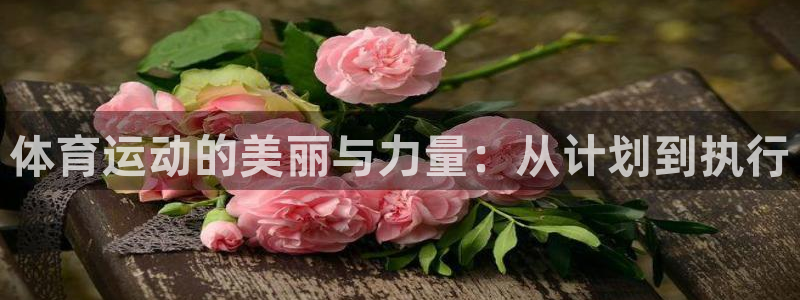 菲律宾ug环球官网：体育运动的美丽与力量：从计划到执行