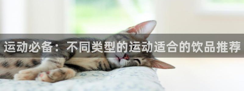 ug环球官网注册：运动必备：不同类型的运动适合的饮品推荐