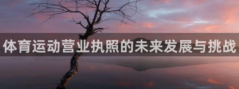 菲律宾ug环球官网：体育运动营业执照的未来发展与挑战