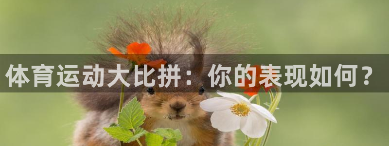 ug环球官网注册：体育运动大比拼：你的表现如何？