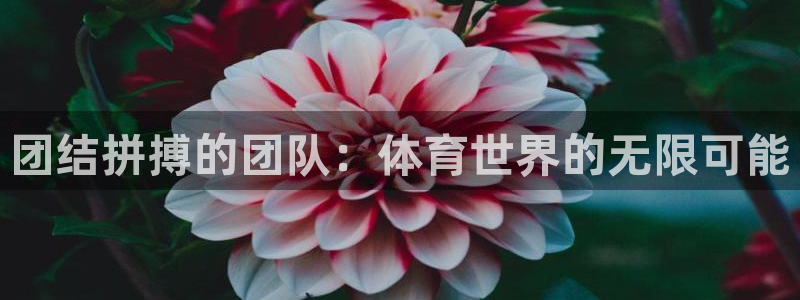 ug环球官网：团结拼搏的团队：体育世界的无限可能